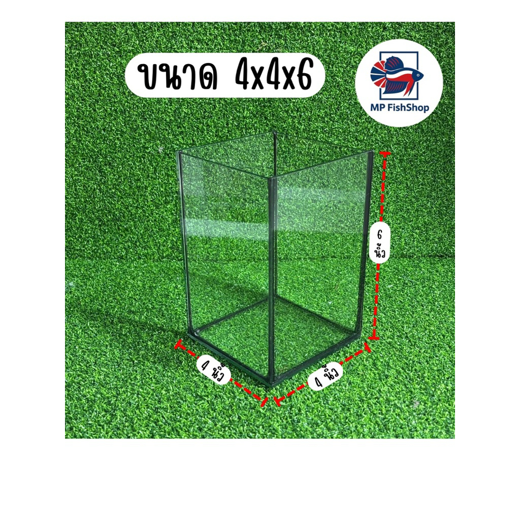 โหลปลากัดสำหรับเลี้ยงปลากัดและปลาสวยงาม ขนาด4x4x6