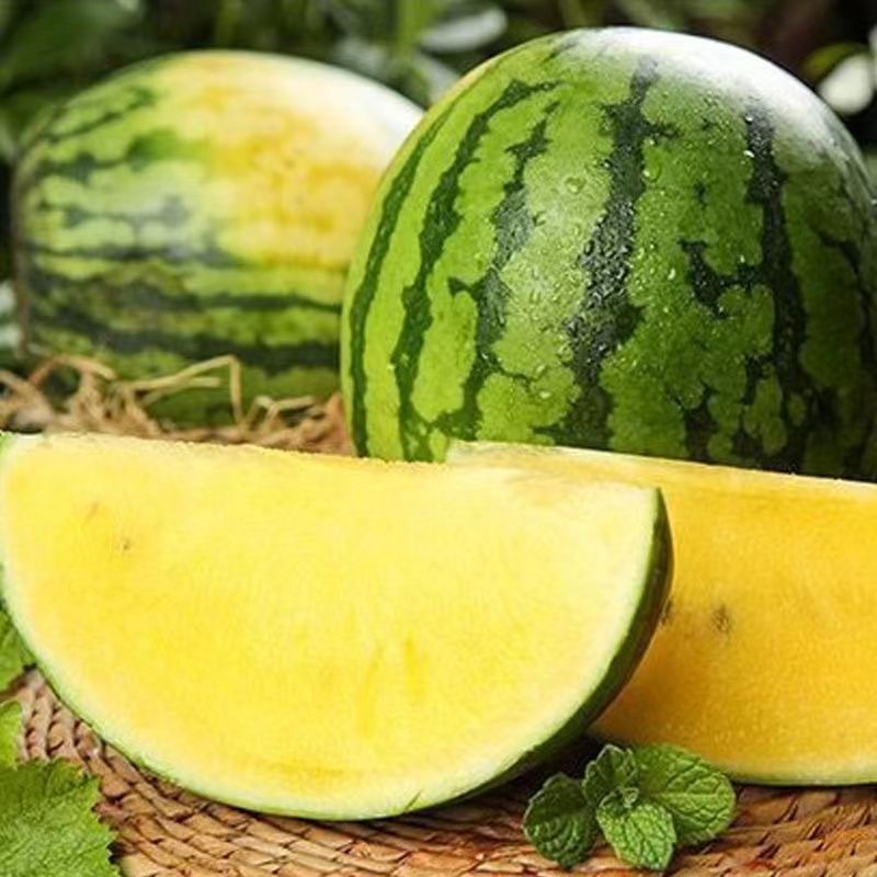 เมล็ดพันธุ์แตงโม เมล็ดแตงโม เนื้อสีเหลือง หวานสุดๆ บรรจุ 20เมล็ด Yellow Watermelon Seeds เมล็ดพันธุ์ผลไม้ เมล็ดพันธุ์ OP