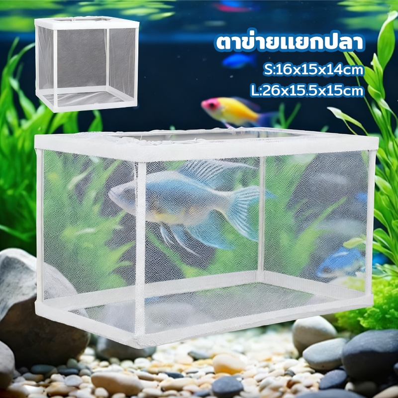 COD กล่องตะข่ายแยกปลาลูกปลาขนาน เพาะพันธุ์ปลา กล่องฟักไข่ ตู้ฟักไข่ปลา แบบตาข่าย กล่องแยกปลา