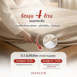 MAPLE'S ผ้าปูที่นอนรัดมุม รุ่นJacquard 770เส้น 6-10นิ้ว กันขนติด หนาแน่นกว่าผ้าเรียบ40% แจ็คการ์ด