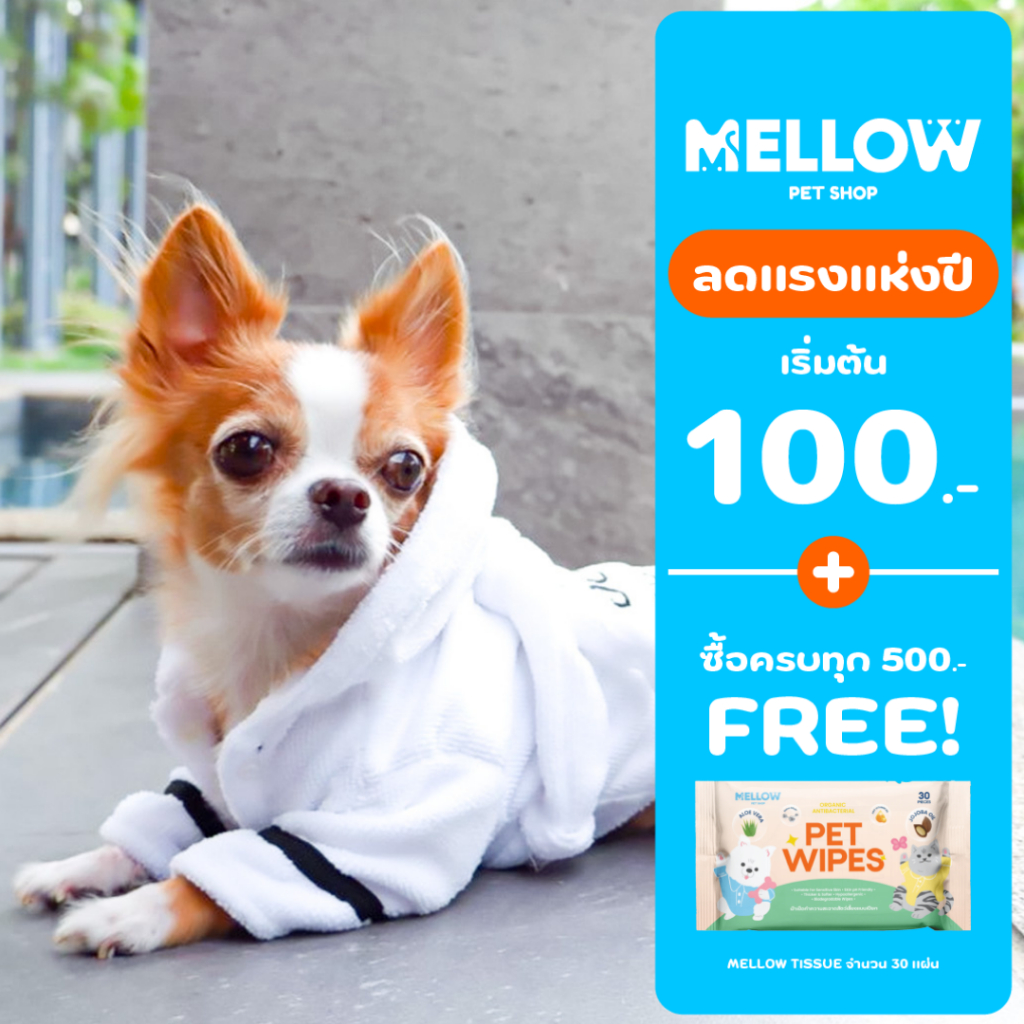 SLEEPLESS(เสื้อสำหรับน้องหมาน้องเเมว)