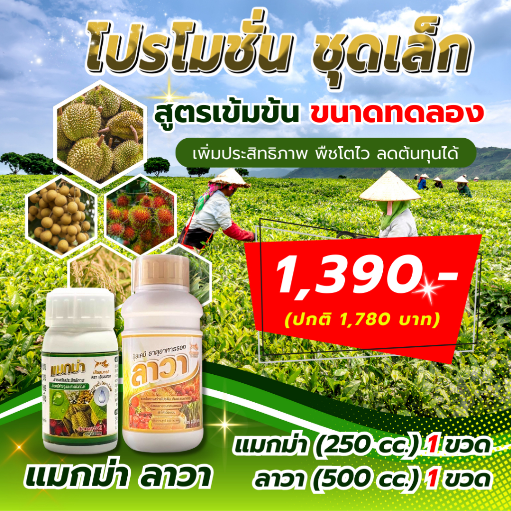 แมกม่า (250 cc.) 1 ขวด + ลาวา (500 cc.) 1 ขวด