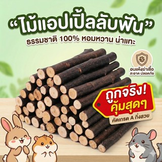 พร้อมส่ง จากไทย 🇹🇭 ไม้แอปเปิ้ล กิ่งไม้ กิ่งแอปเปิ้ล apple st…