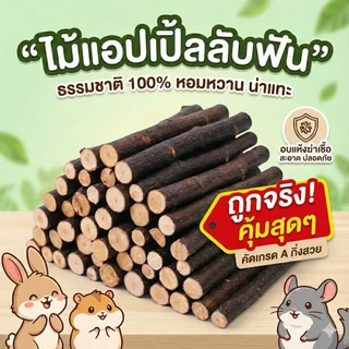พร้อมส่ง จากไทย 🇹🇭 ไม้แอปเปิ้ล กิ่งไม้ กิ่งแอปเปิ้ล apple stick สำหรับ กระต่าย หนูแกสบี้ สัตว์ฟันแทะ ชูก้า