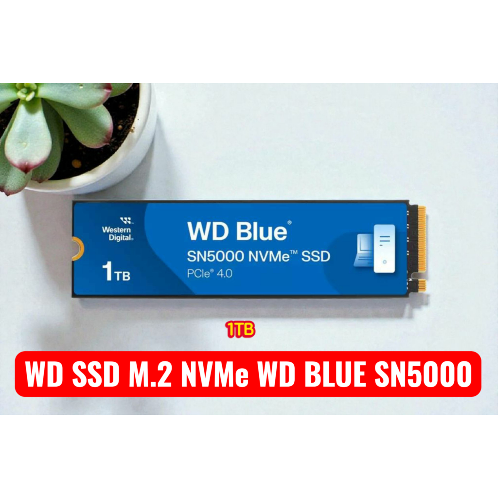 WD SSD M.2 NVMe WD BLUE SN5000 1TB GEN 4