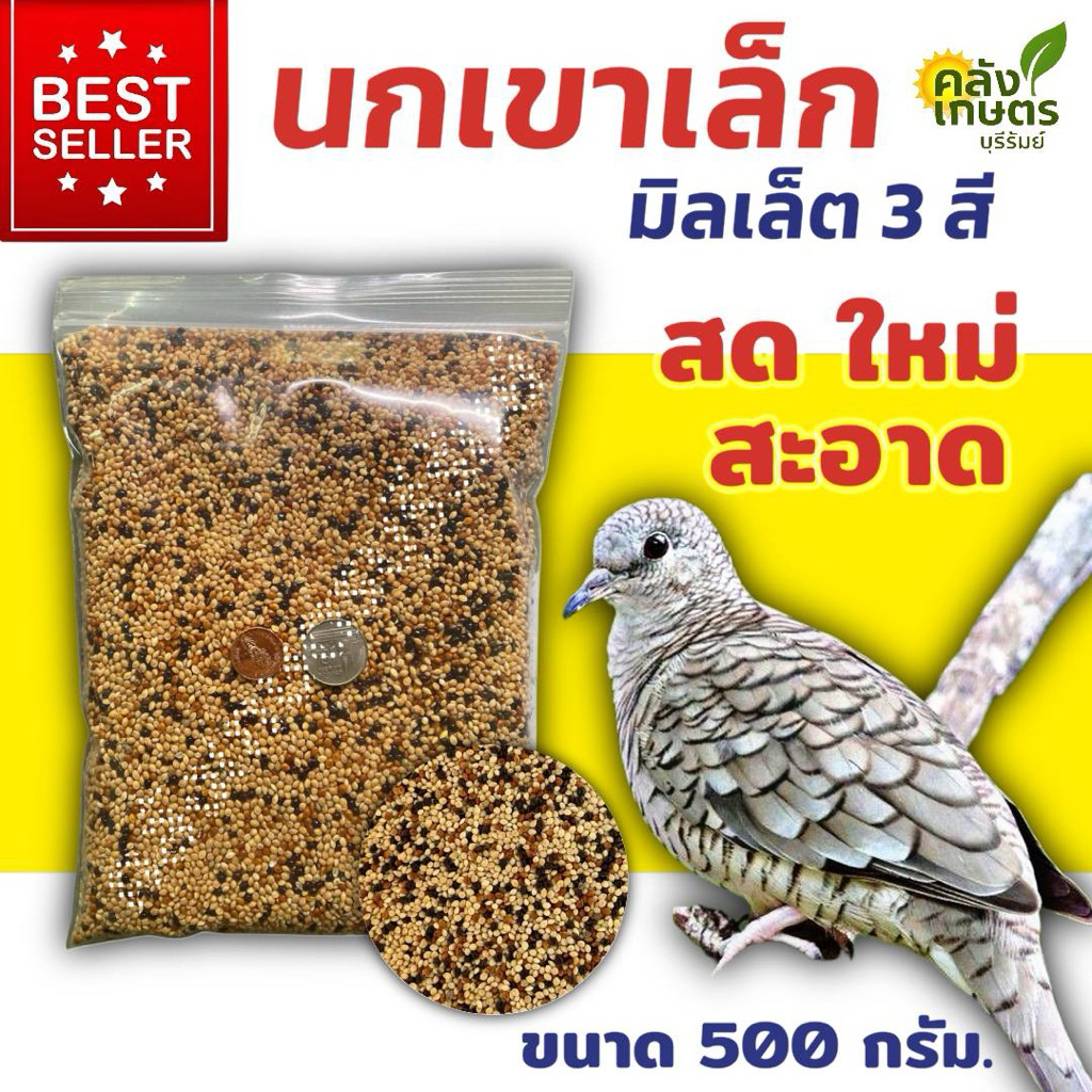 [ ขายดี💥] อาหารนกเขาเล็ก มิลเล็ต3สี สด ใหม่ สะอาด บรรจุ 500 กรัม.