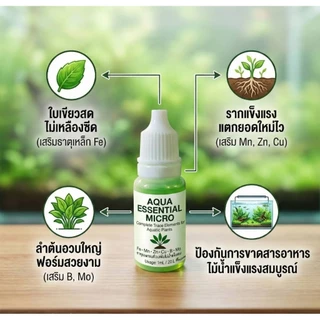 ปุ๋ยเสริมใบเขียวอาหารพืชปุ๋ยไม้น้ำรวมธาจุเสริม ตู้ไม้น้ำAqua Essential Micro