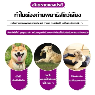 💯100% มีประสิทธิภาพ👍กำจัดเห็บและหมัด 500ml กำจัดหมัดหมา กำจัดหมัดแมว กำจัดเห็บหมัด สูตรพืช ปลอดภัย ไม่ทำร้ายสัตว์เลี้ย