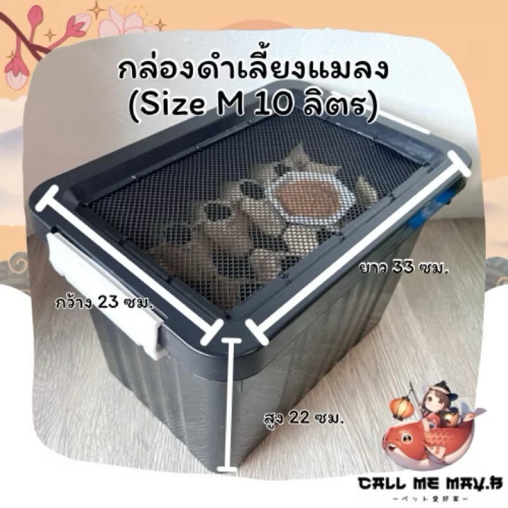 กล่องพลาสติกเลี้ยงแมลงสีดำ สามารถสั่งติดมุ้งไฟเบอร์เพิ่มได้ | ขนาดกลาง 10 ลิตร