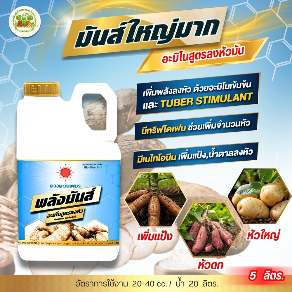 ปุ๋ยน้ำ พลังมันส์ (แกลลอน 5 ลิตร) ดวงตะวันเพชร อะมิโนเร่งลงหัวมัน ช่วยกดใบลงหัว เร่งหัวใหญ่ สำหรับมัน (1ลังมี4แกลอน)