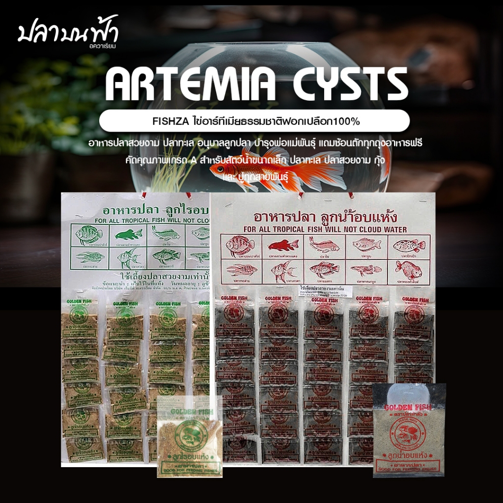 อาหารปลาสวยงาม ลูกไรอบแห้ง และลูกน้ำอบแห้ง ขนาด 15 กรัม เหมาะสำหรับปลาขนาดเล็กทุกสายพันธุ์ ปลากัด ปล