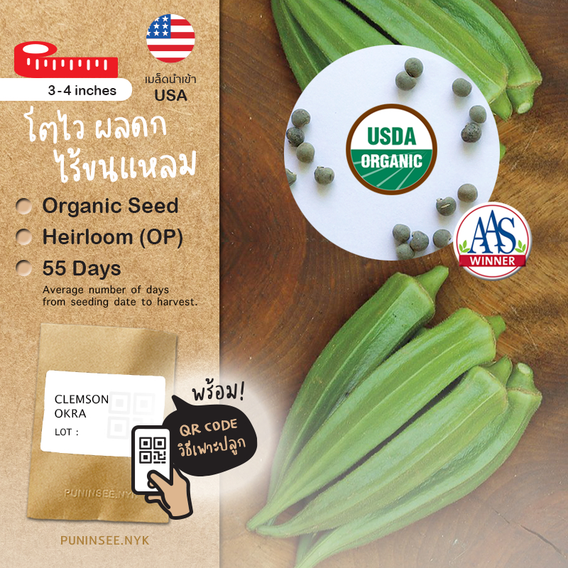 🏅เมล็ดนำเข้า กระเจี๊ยบเขียว Clemson Spineless Okra (Organic Seed) AAS สายพันธุ์นี้มีรางวัล ไร้ขนแหลม