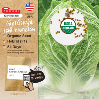 เมล็ดผักนำเข้า ผักกาดขาว Bilko Chinese Cabbage (Organic F1) …