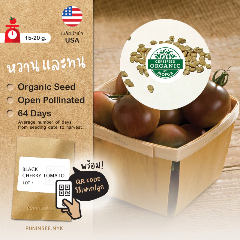 เมล็ดนำเข้า มะเขือเทศเชอรี่ สีดำ Black Cherry Tomato (Organic Seed) ลูกกลม ปันอินทรีย์