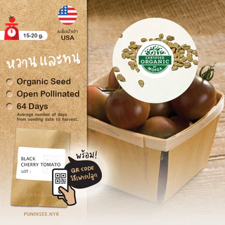 เมล็ดนำเข้า มะเขือเทศเชอรี่ สีดำ Black Cherry Tomato (Organic Seed) ลูกกลม ปันอินทรีย์