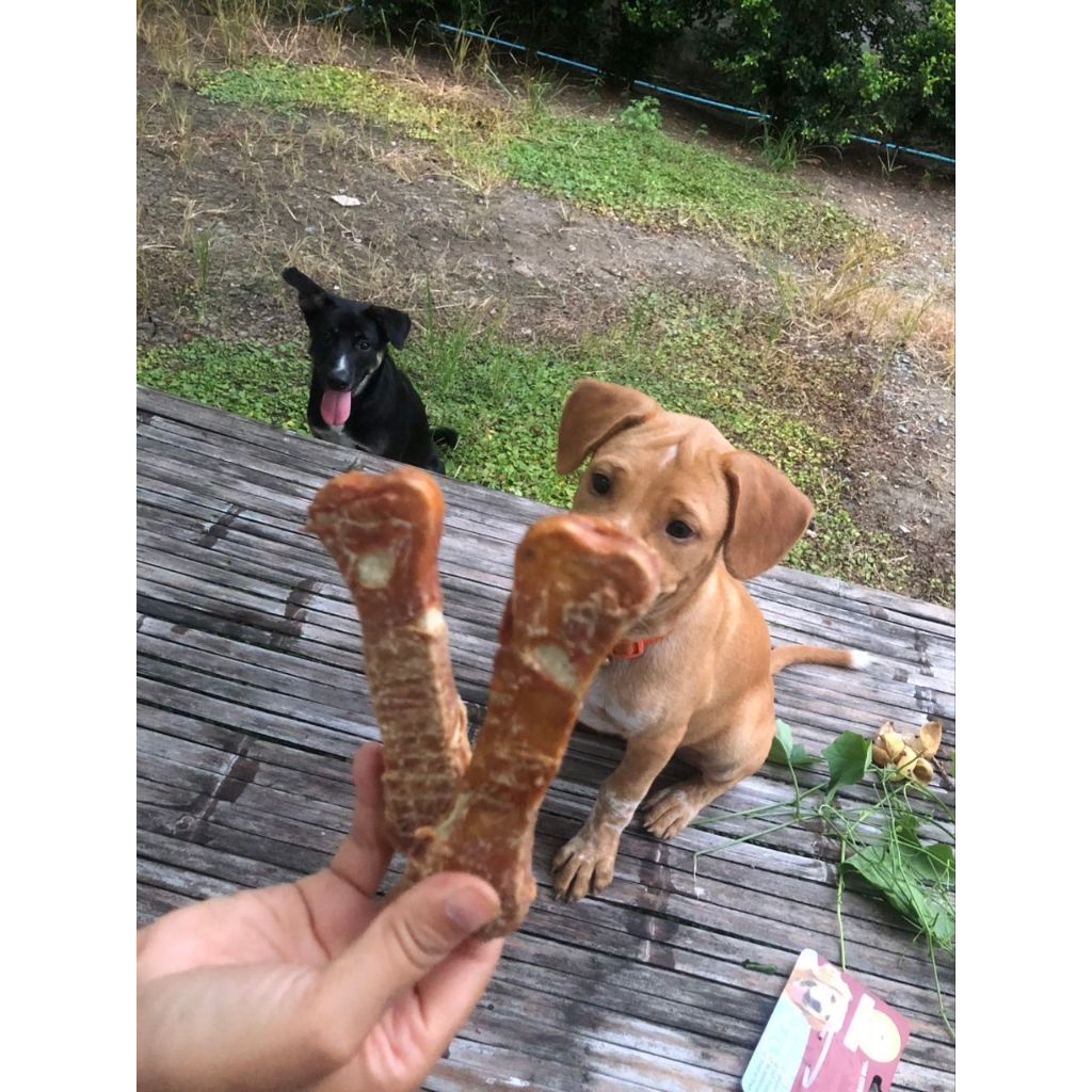 PRO CHEW Pressed Bone 4" with Pork รูปที่ 4