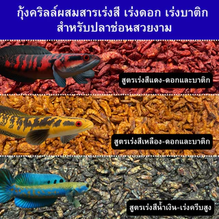 กุ้งคริลล์ผสมสารเร่งสี-เร่งดอก-เร่งครีบ สูตรปลาช่อนสวยงาม