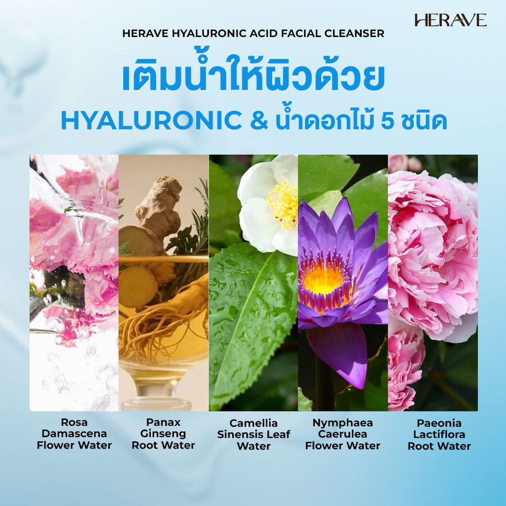 HERAVE Pro Hyaluron Whip Foam [Anti-PM2.5] Deep Clean Cleanser วิปโฟมล้างหน้า สู้ฝุ่น หน้าไม่เอี๊ยด ราคา ถูกที่สุด ดีลบีเคเค แกลเลอรีภาพที่ 4