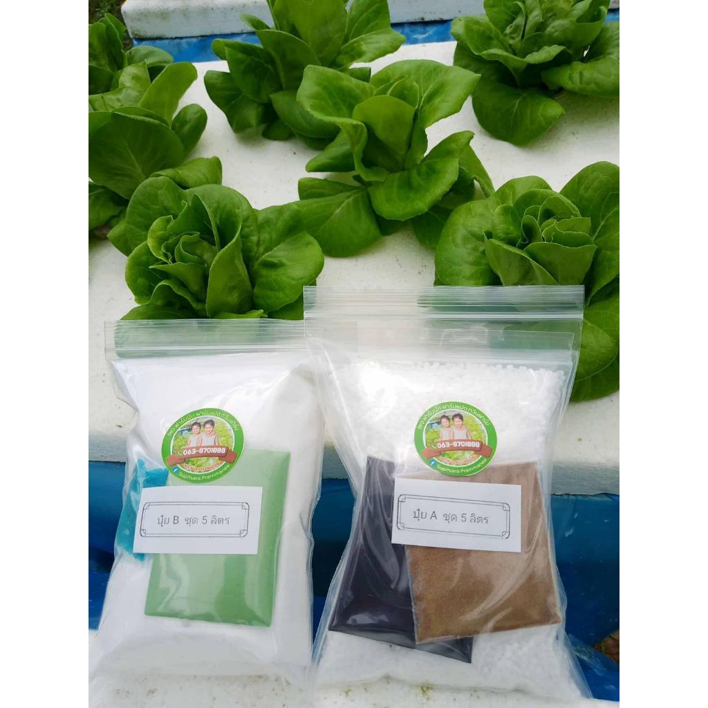 ปุ๋ย AB ไฮโดรโปนิกส์ (แบบแห้ง)