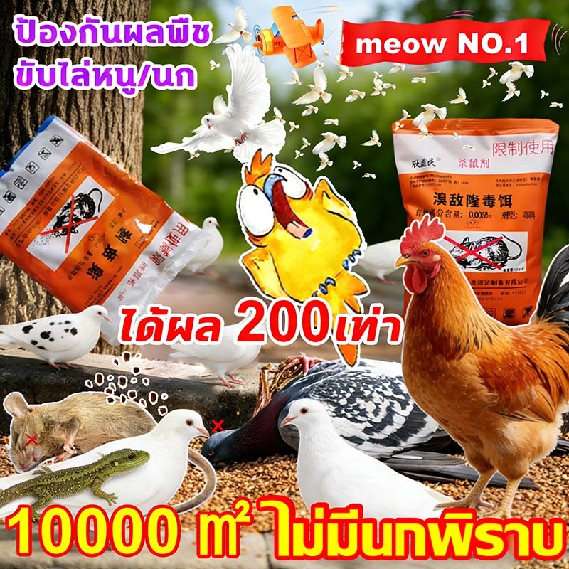 【100% ได้ผล】100g/500g ยากำจัดนกพิราบ ยาเบื่อนก ไล่นก ก้อนไล่นก  กำจัดนก เหยื่อกำจัดนกพิราบ เบื่อนกพิราบ ยาฆ่านกพิราบ