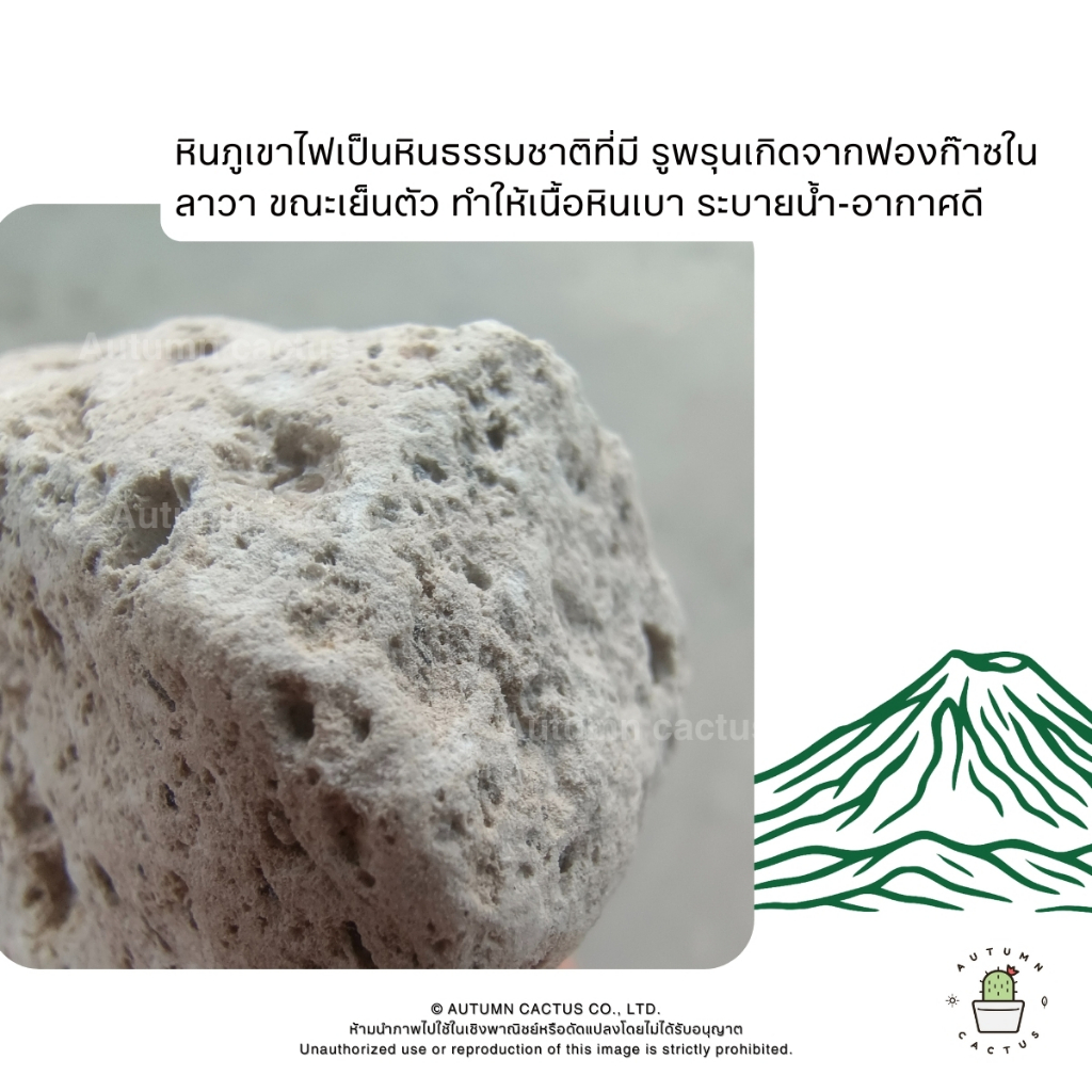 รูปภาพ 6