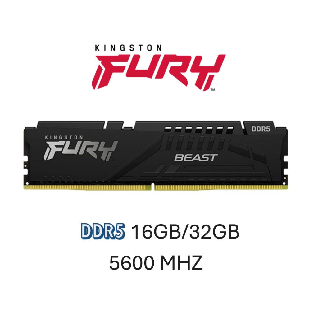 RAM DDR5 16GB/32GB 5600MHz KINGSTON FURY BEAST (BLACK) (KF556C40BB)