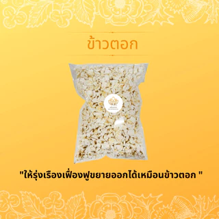 ชุดมงคลพิธียกเสาเอกเสาโท จัดเซ็ตทั้งเสาเอกเสาโทสุดคุ้ม คุณภาพสูง สำหรับพิธี ขึ้นบ้านใหม่ เปิดกิจการใหม่ ตั้งศาลพระภูมิ