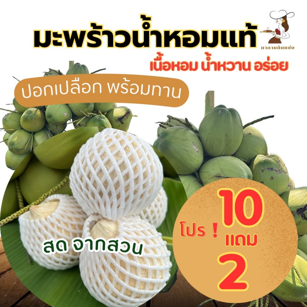 มะพร้าวน้ำหอมสดแท้ ปอกเปลือก พร้อมทาน คละไซส์ ใหม่สดจากสวน  เนื้อชั้นครึ่ง-2 ชั้น หวาน หอม อร่อย โปร 10แถม 2ลูก คละไซส์