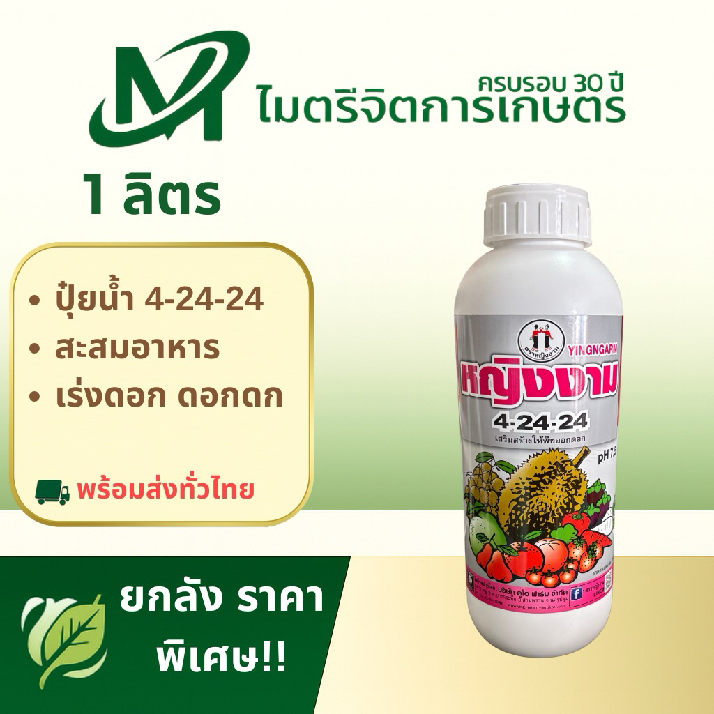 หญิงงาม 4-24-24 🌸 เร่งดอกไว ดอกสมบูรณ์ ติดผลดี!