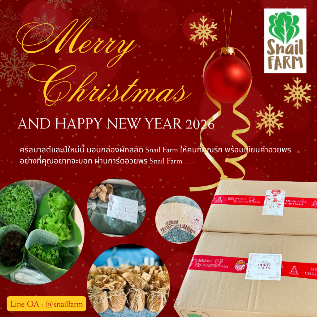 กล่องผักสลัดสเนลฟาร์ม คริสมาสและปีใหม่ 2569 (*** สามารถเขียนคำอวยพรให้คนที่คุณรักลงบนการ์ด)