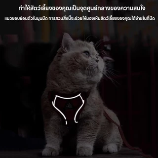 โปรโมชั่นราคาพิเศษ จัดส่งทันที เสื้อรัดอกพร้อมสายจูง เสื้อรัดอกสัตว์เลี้ยง สายจูงสุนัข หมา แมว มีแถบสะท้อน ทนทาน