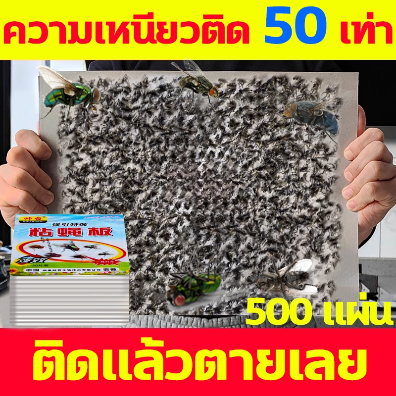 กาวดักแมลงวัน ทรงพลัง มัดละ 500แผ่น กาวแน่นแท้ 100% ใช้งานง่าย กาวแน่น แพ็คเกจอย่างดี