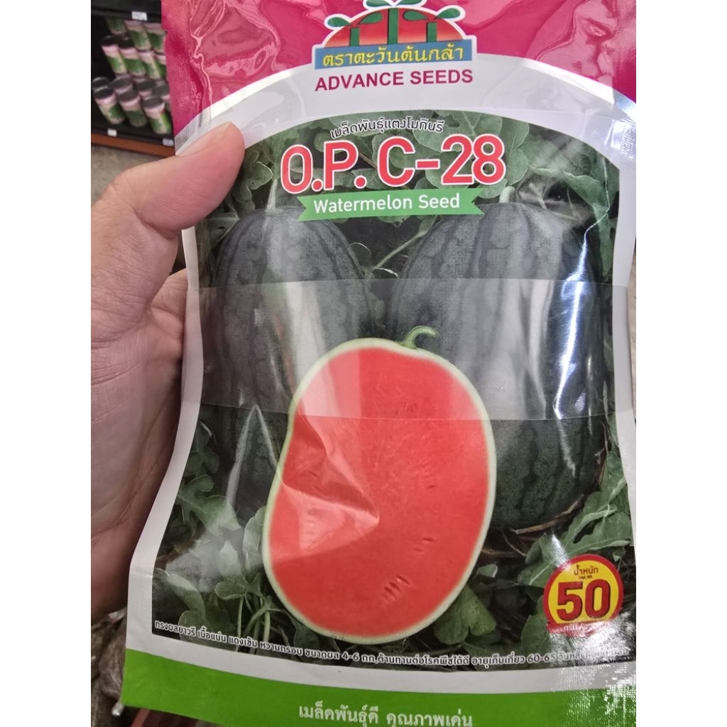 กินรี 101 เมล็ดพันธุ์ แตงโมกินรี 40กรัม ตราตะวันต้นกล้า เมล็ดแตงโม