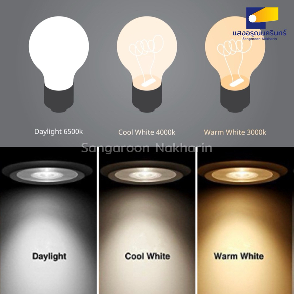 Philips TL5 Essential Super 80 หลอดนีออน T5 ขั้ว G5 ขนาด 14W Daylight Warm white Cool white - รูปที่ 2