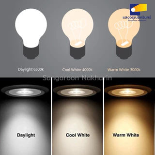 Philips TL5 Essential Super80 หลอดไฟนีออน T5 28W ขั้ว G5 หลอดไฟยาว Daylight Cool white Warm white