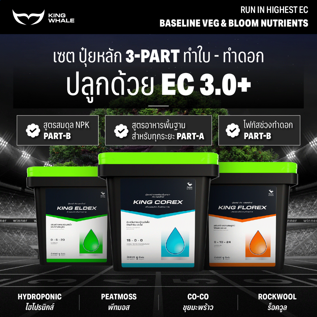 ชุดปุ๋ยหลัก Micro, Grow, Bloom ปลูกต้นไม้ ได้ทุกชนิด การันตีโตเร็ว ระเบิดยอด ต้นแข็งแรง | KING WHALE