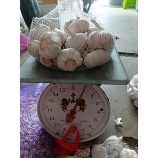 กระเทียมจีนปิงปอง มี 2 ขนาด 500 กรัมกับ 1 กิโลกรัม