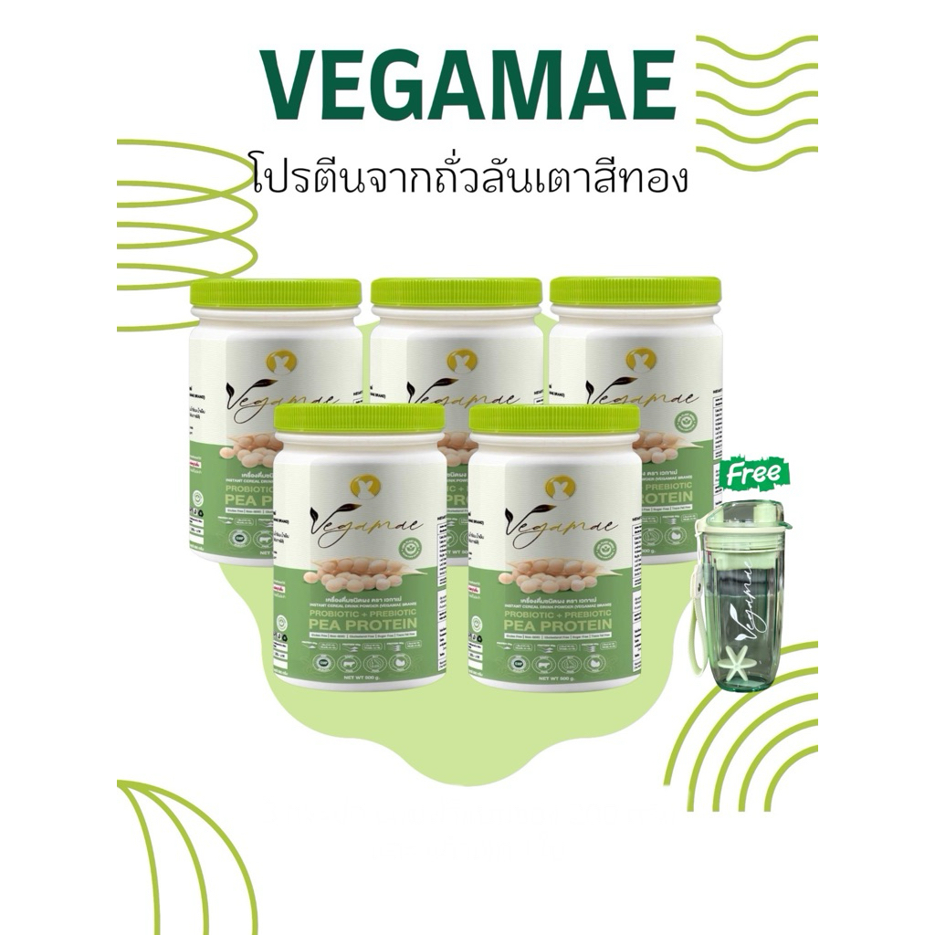 โปรตีนเวกาเม่(VEGAMAE) set 5 กระปุก แถมแก้วเชค 1 ใบ โปรตีนพืชจากพืช 100% ไม่มีน้ำตาล เจทานได้