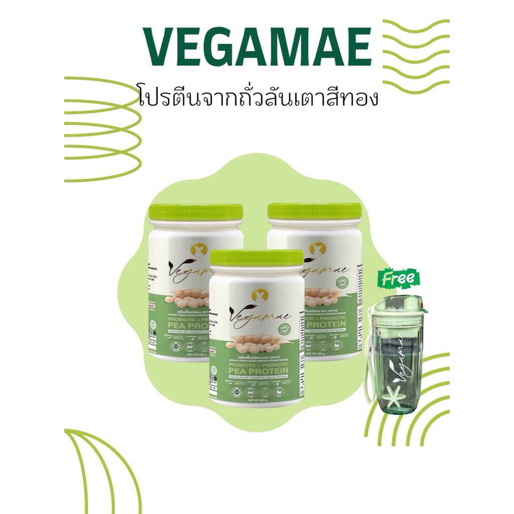 โปรตีนเวกาเม่(VEGAMAE) set 3 กระปุก แถมแก้วเชค 1 ใบ โปรตีนพืชจากพืช 100% ไม่มีน้ำตาล เจทานได้