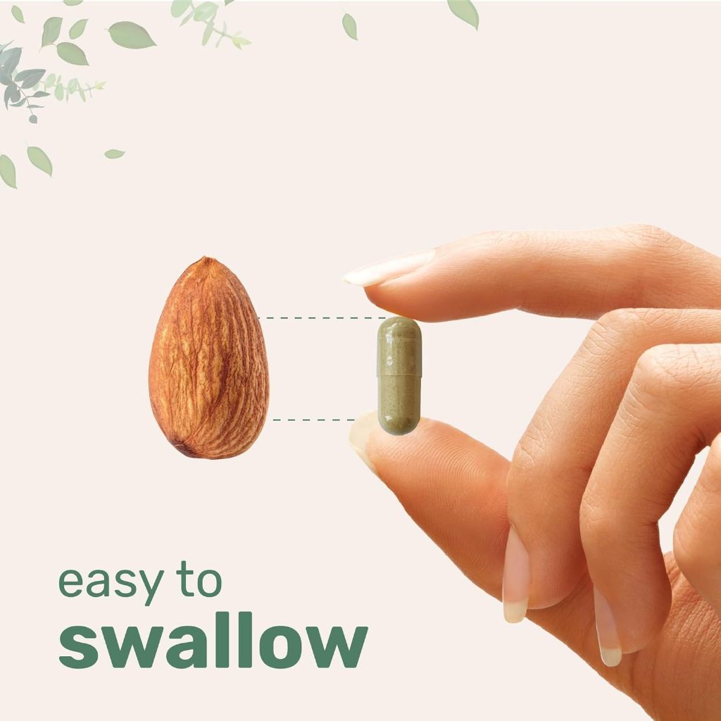 Micro Ingredients Resveratrol NAD Complex 11 in 1 with Quercetin Berberine Grape Seed 3000mg 240 Veggie Caps (No.4041) ราคา ถูกที่สุด ดีลบีเคเค แกลเลอรีภาพที่ 7