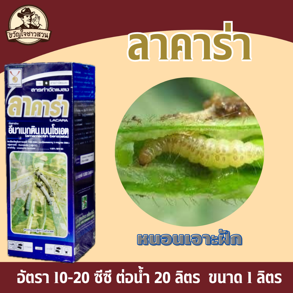 ลาคาร่า  (อีมาเมกตินเบนโซเอต 1.92%) 1ลิตร กำจัดหนอนชอนใบ หนอนเจาะ หนอนกระทู้ เพลี้ยไฟ ราคา ถูกที่สุด ดีลบีเคเค แกลเลอรีภาพที่ 6
