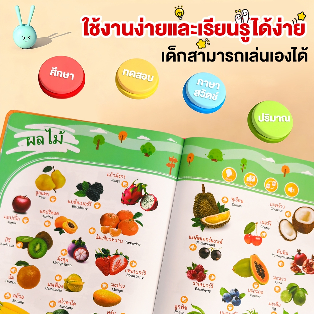 รูปภาพ 4