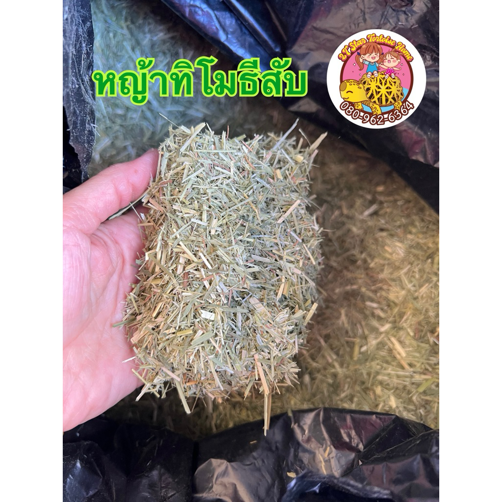 หญ้าทิโมธีสับ แบบถุง 1 กิโลกรัม ช่วยเพิ่มไฟเบอร์ กระตุ้นความอยากอาหารของเต่า