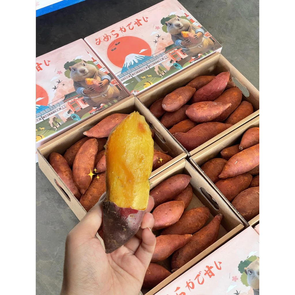 Beaver🍠มันหวานสายพันธุ์ญี่ปุ่น🇯🇵เบนิฮารุกะ✨ยกลัง 3.3 kg.