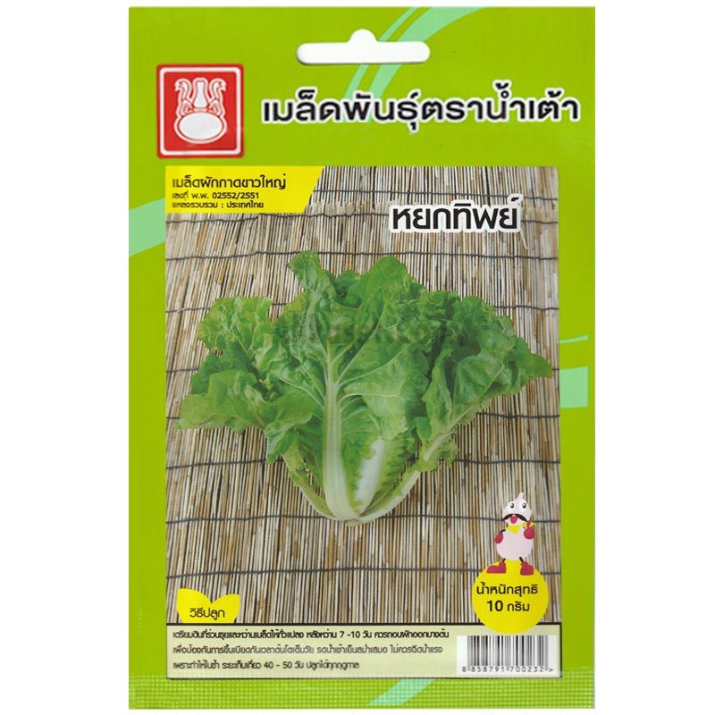 เมล็ดผักกาดขาวใหญ่ หยกทิพย์ ตราน้ำเต้า