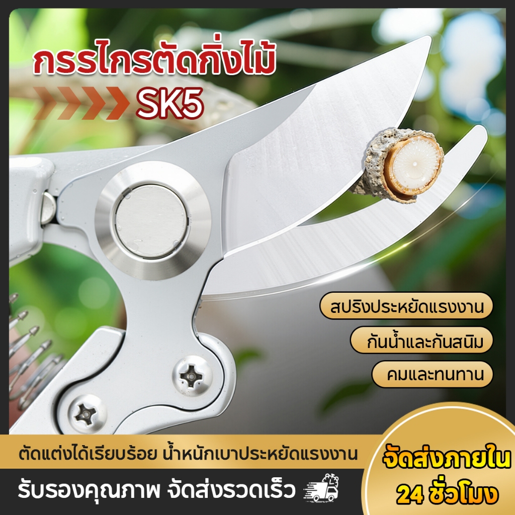 🔹สินค้าพร้อมส่ง🔹✂️กรรไกรตัดกิ่งไม้ กรรไกรตัดหญ้า แต่งสวน กรรไกรตัดกิ่ง sk5✂️ 🔹ราคา48บาท