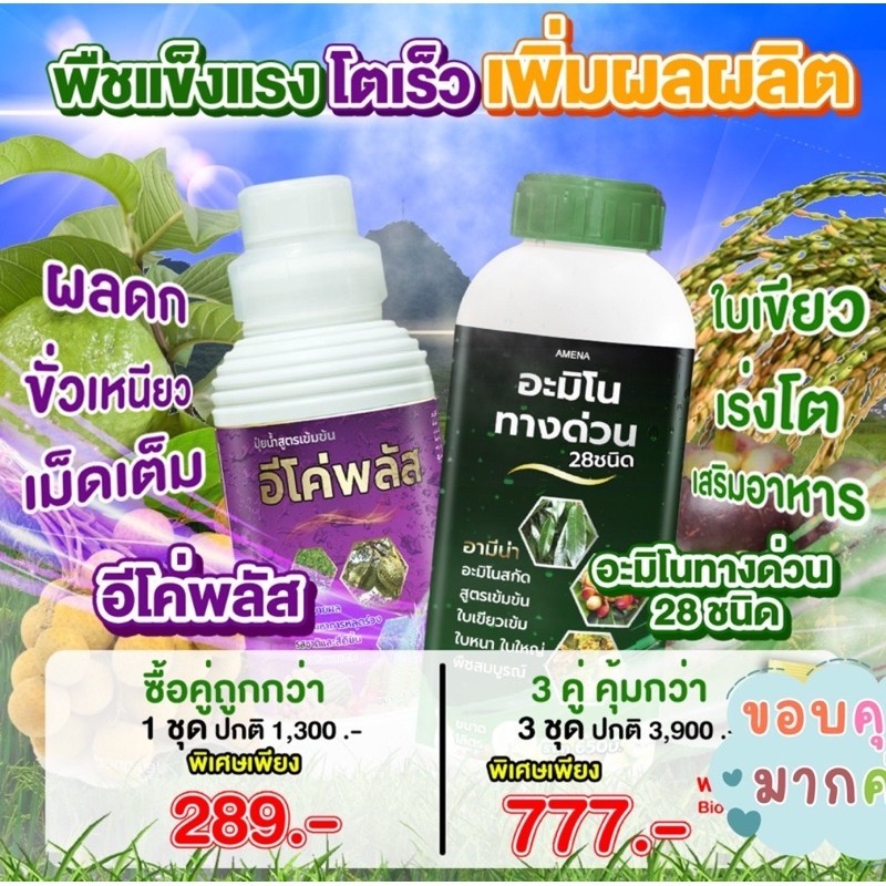 อีโค่พลัส+อามีน่าอะมิโนทางด่วน ชุดขยายผลทุเรียน พืชโตไว  ขั้วเหนียว ลดการหลุดร่วง  ป้องกันผลแตก