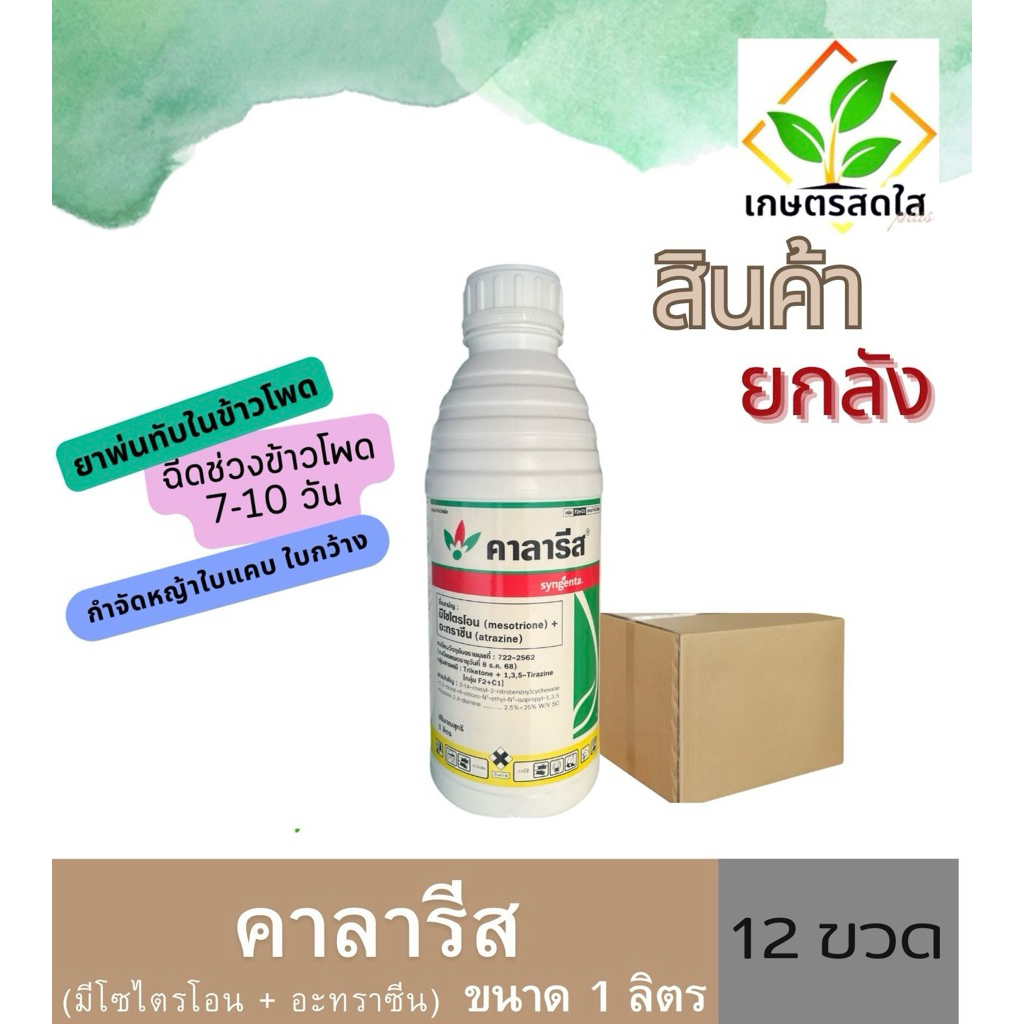 📦 สินค้ายกลัง 📦 คาลารีส *ขนาด 1 ลิตร ยาฆ่าหญ้าในไร่ข้าวโพด