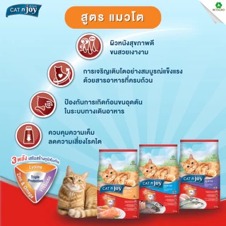 CAT n joy อาหารแมวโต เม็ดเล็ก กรอบ สำหรับแมวอายุ 1 ปี ขึ้นไป รสแซลมอน ขนาด 14 กก.
