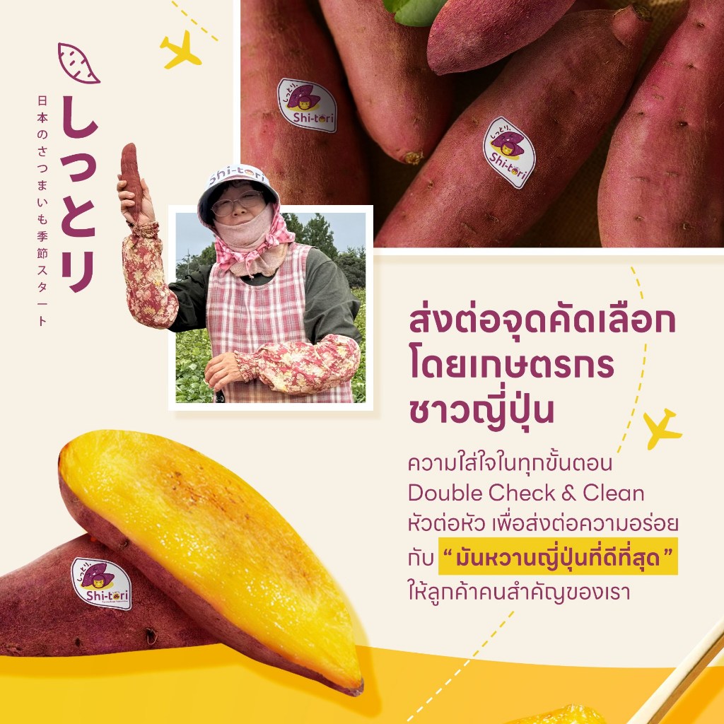 ShiTori | มันหวานญี่ปุ่น เบนิฮารุกะ Size M แพ็ค 500G. / 1Kg / 2Kg / 3Kg - 3